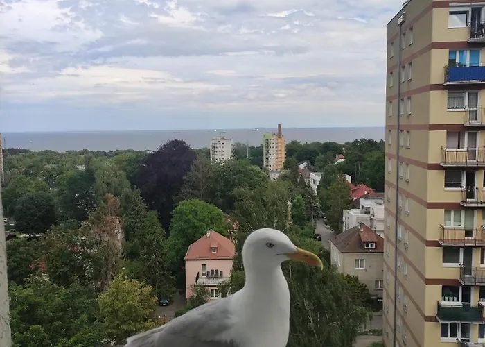 Apartament Widokowo *